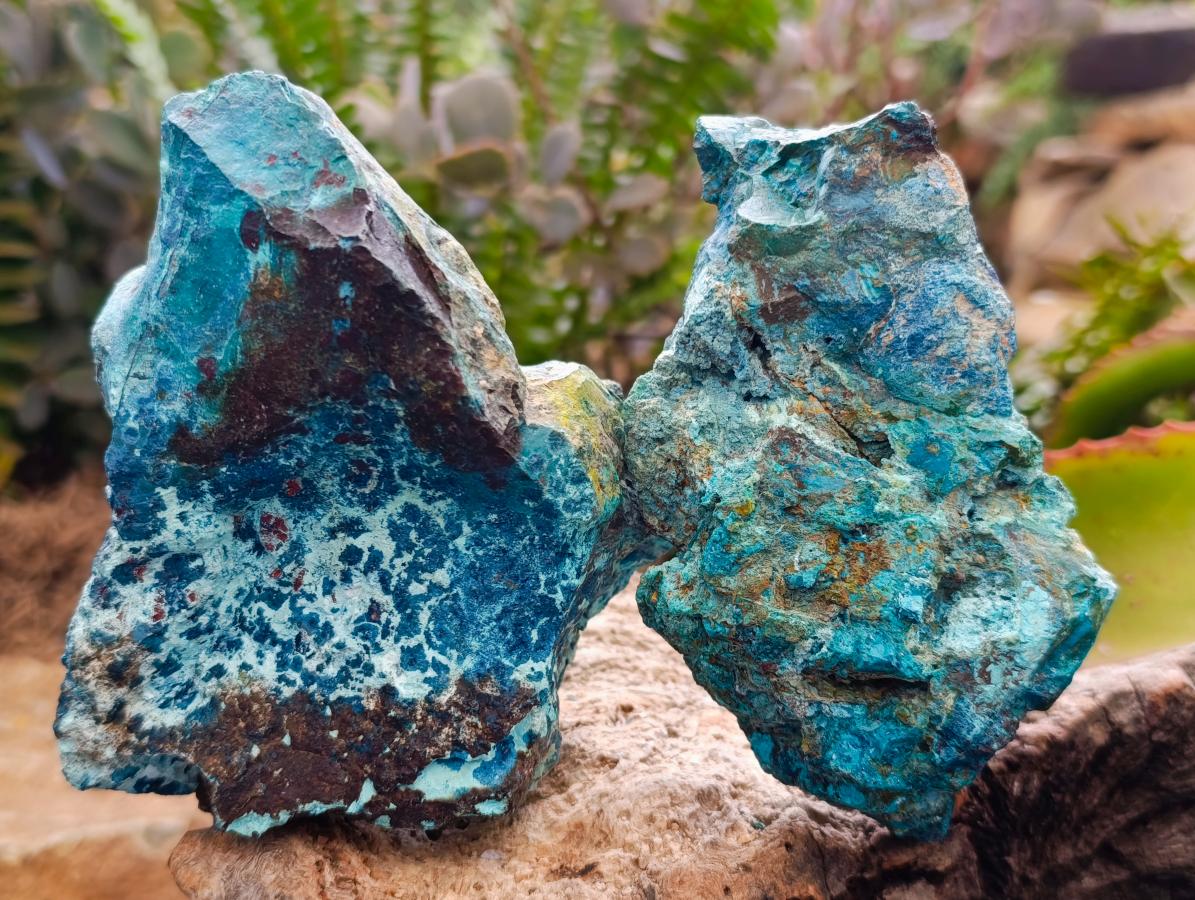 Natural Shattuckite with Chrysocolla, Malachite and Duftite Specimens x 6 From Koakoveld, Namibia - Toprock Gemstones and Minerals 