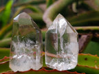 Polished Mix of Clear and Smokey Quartz Display Crystals x 24 From Madagascar - Toprock Gemstones and Minerals 