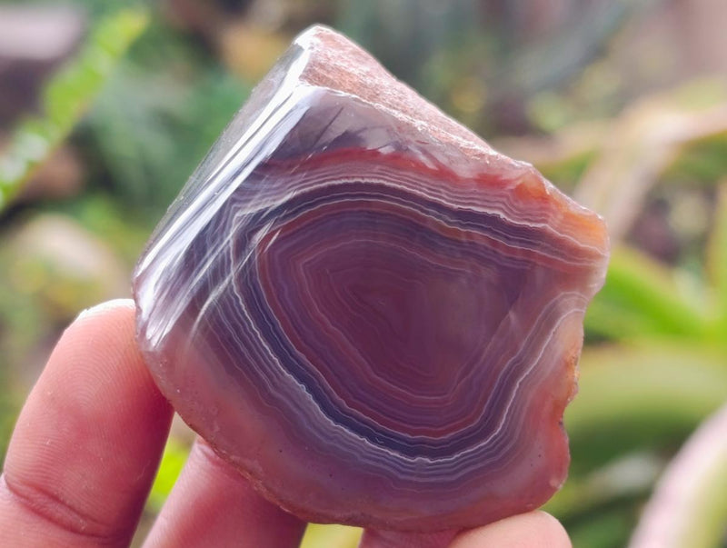 Polished One Side Red Shashe River Agate Nodules x 35 From Shashe River, Zimbabwe - Toprock Gemstones and Minerals 
