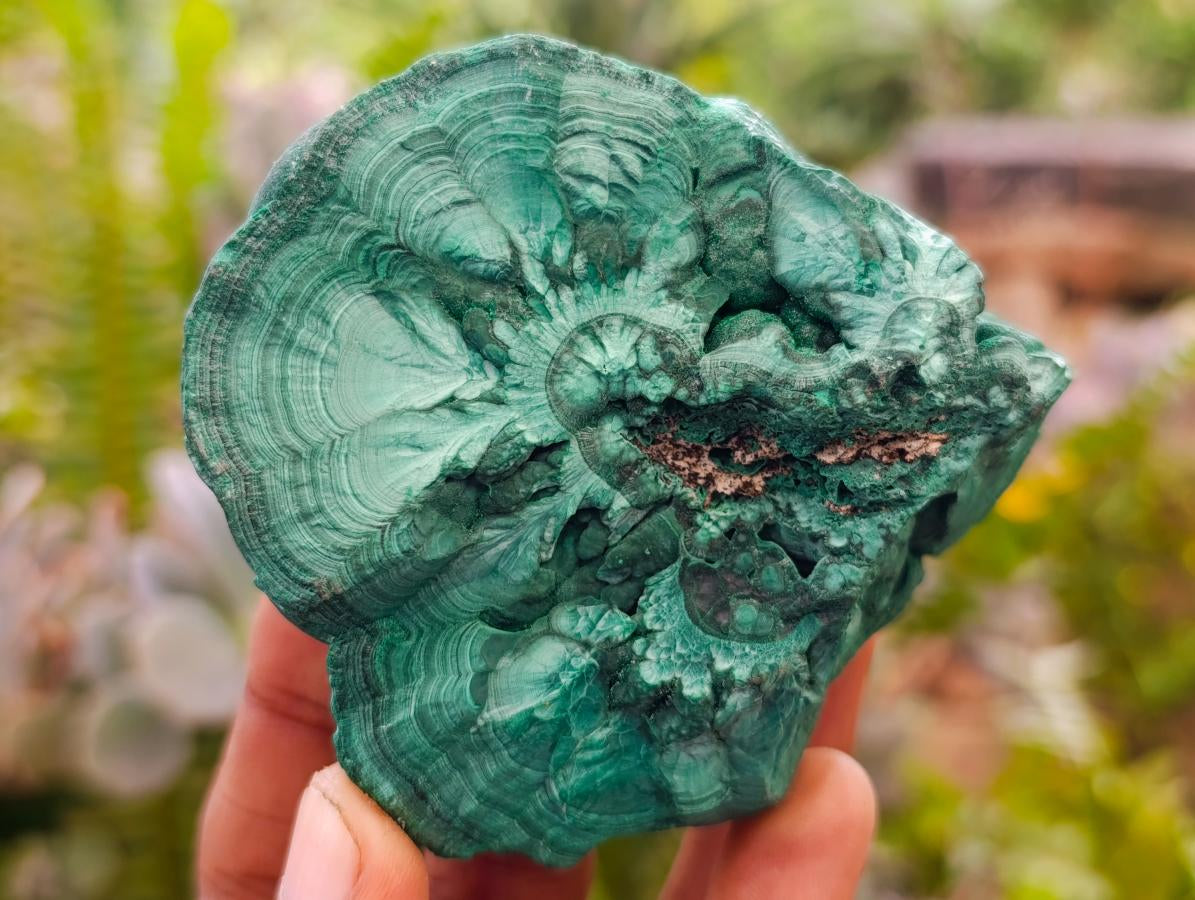 Natural Botryoidal Malachite Specimens x 2 From Congo - Toprock Gemstones and Minerals 
