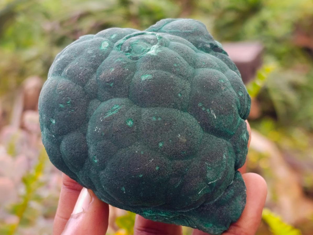 Natural Botryoidal Malachite Specimens x 2 From Congo - Toprock Gemstones and Minerals 