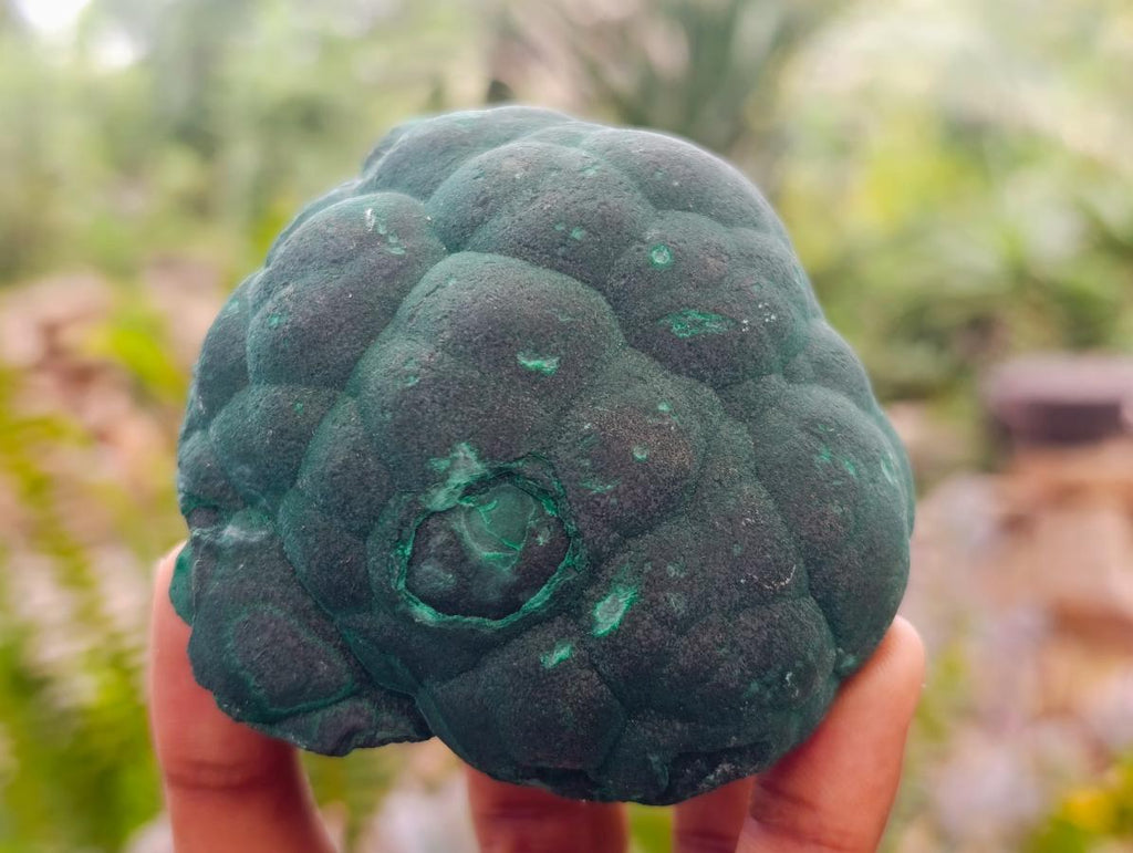 Natural Botryoidal Malachite Specimens x 2 From Congo - Toprock Gemstones and Minerals 