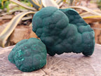 Natural Botryoidal Malachite Specimens x 2 From Congo - Toprock Gemstones and Minerals 