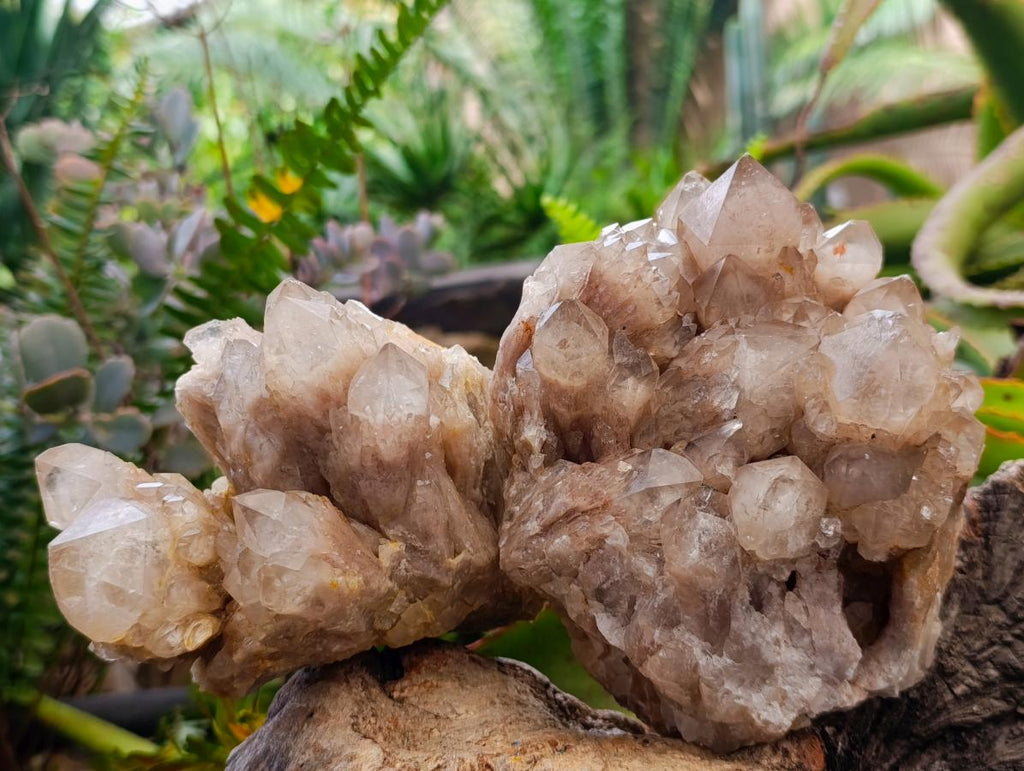 Natural Cascading White Phantom Smokey Luena Quartz Clusters x 2 From Luena, Congo - Toprock Gemstones and Minerals 