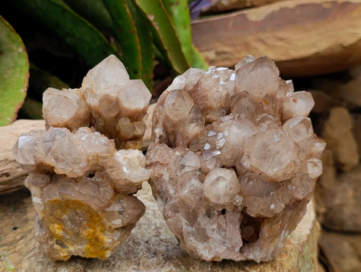 Natural Cascading White Phantom Smokey Luena Quartz Clusters x 2 From Luena, Congo - Toprock Gemstones and Minerals 
