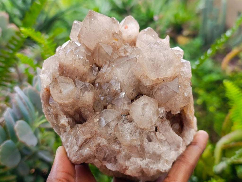 Natural Cascading White Phantom Smokey Luena Quartz Clusters x 2 From Luena, Congo - Toprock Gemstones and Minerals 