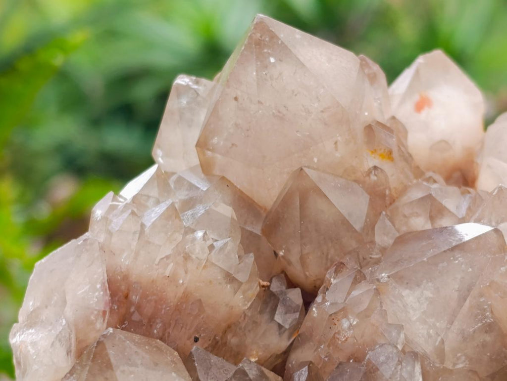 Natural Cascading White Phantom Smokey Luena Quartz Clusters x 2 From Luena, Congo - Toprock Gemstones and Minerals 