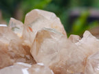 Natural Cascading White Phantom Smokey Luena Quartz Clusters x 2 From Luena, Congo - Toprock Gemstones and Minerals 