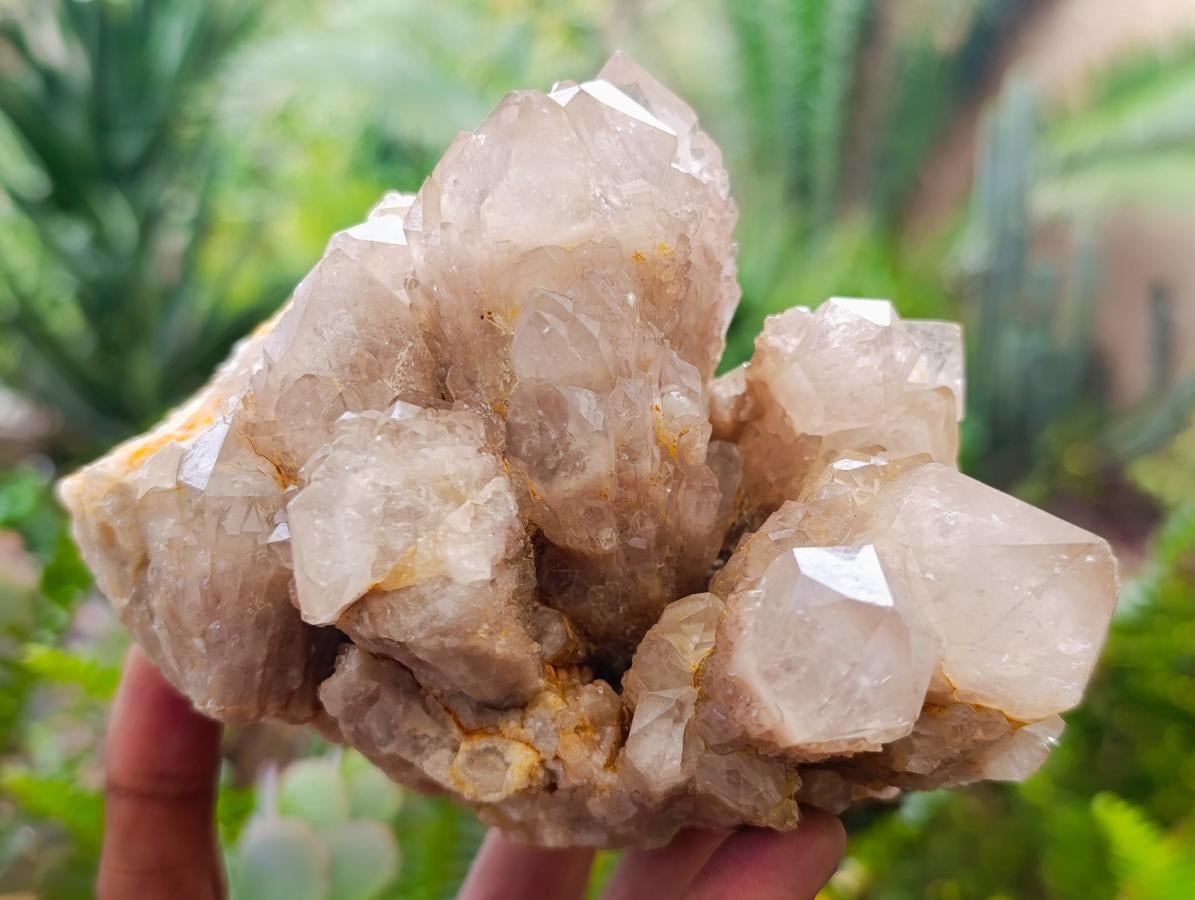 Natural Cascading White Phantom Smokey Luena Quartz Clusters x 2 From Luena, Congo - Toprock Gemstones and Minerals 