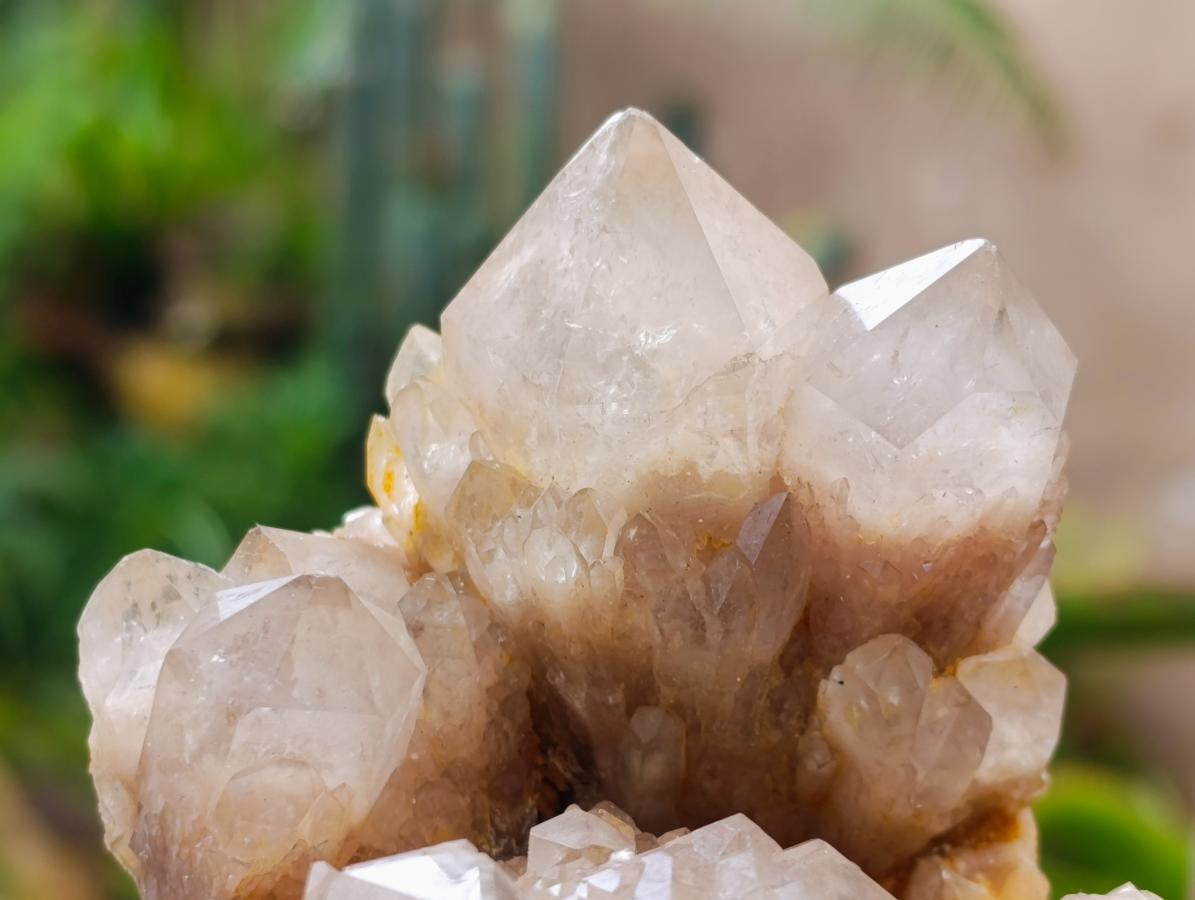 Natural Cascading White Phantom Smokey Luena Quartz Clusters x 2 From Luena, Congo - Toprock Gemstones and Minerals 