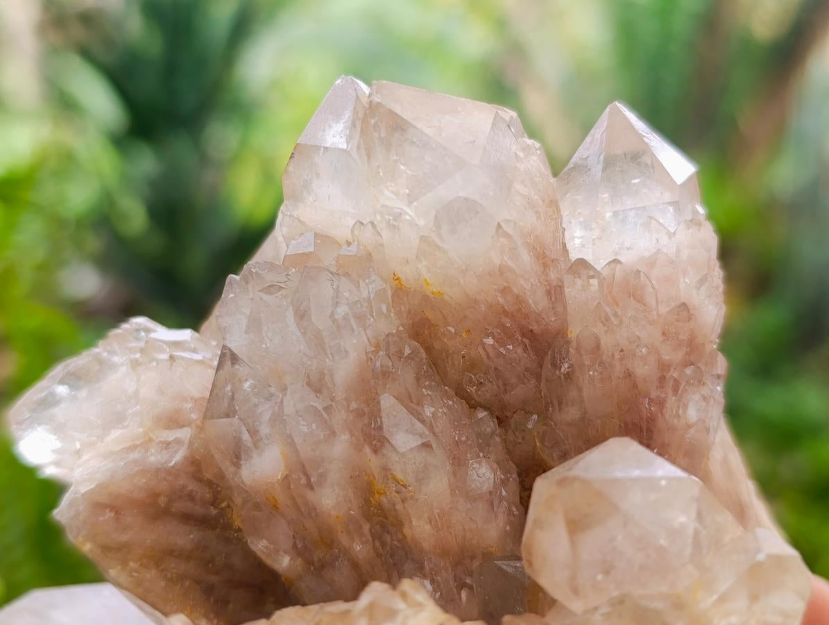 Natural Cascading White Phantom Smokey Luena Quartz Clusters x 2 From Luena, Congo - Toprock Gemstones and Minerals 