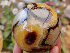 Polished Septerye Spheres x 4 From Mahajanga, Madagascar - Toprock Gemstones and Minerals 
