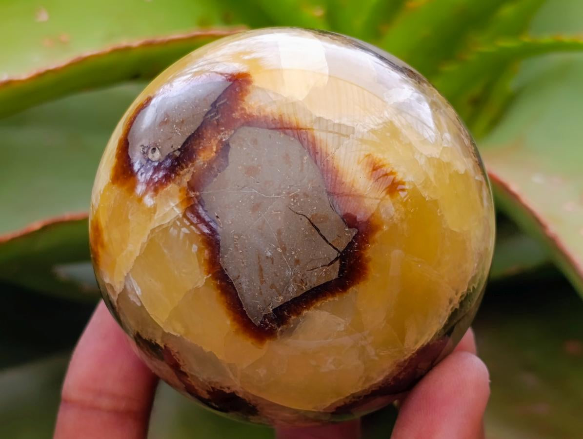 Polished Septerye Spheres x 4 From Mahajanga, Madagascar - Toprock Gemstones and Minerals 