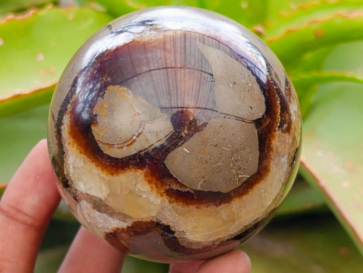 Polished Septerye Spheres x 4 From Mahajanga, Madagascar - Toprock Gemstones and Minerals 