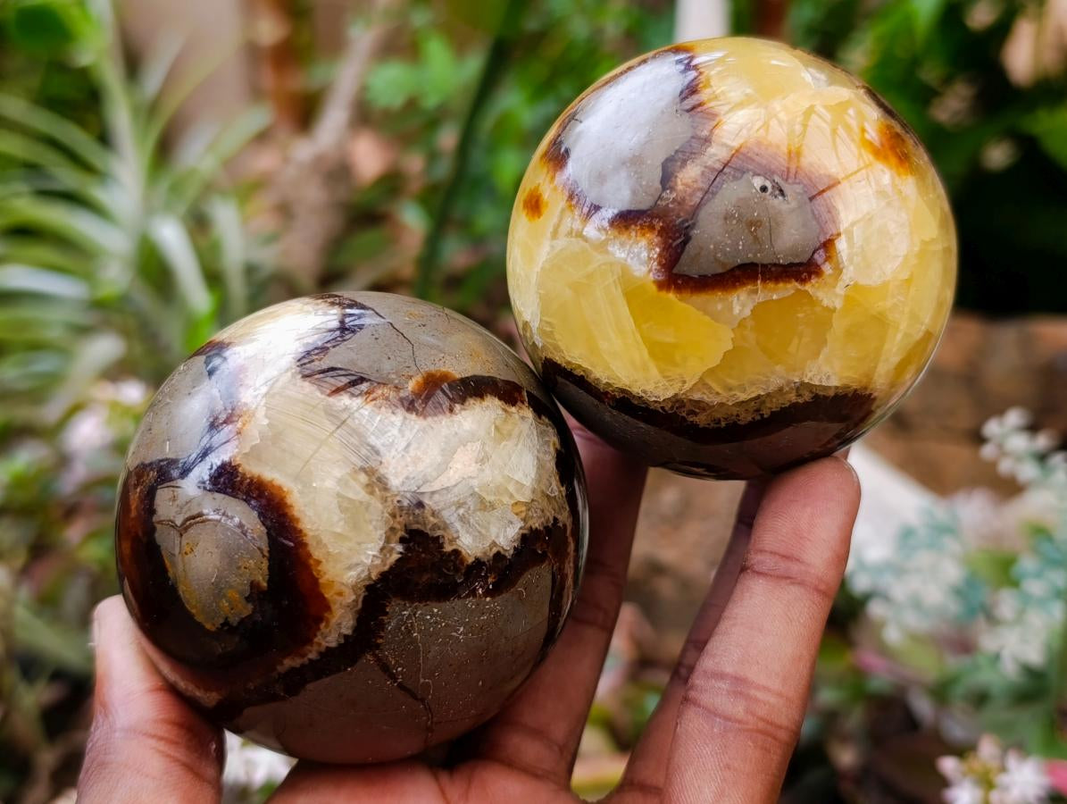 Polished Septerye Spheres x 4 From Mahajanga, Madagascar - Toprock Gemstones and Minerals 