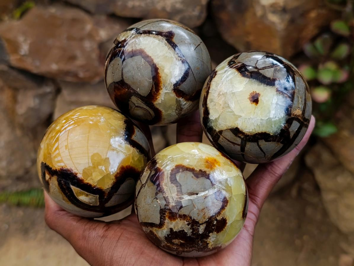 Polished Septerye Spheres x 4 From Mahajanga, Madagascar - Toprock Gemstones and Minerals 