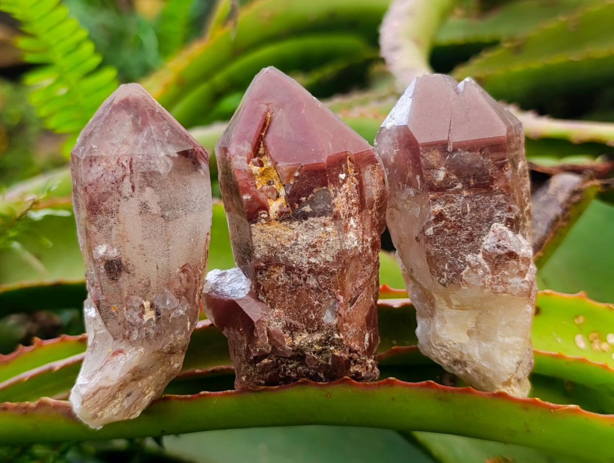 Natural Red Hematoid Quartz Crystals x 12 From Karoi, Zimbabwe - Toprock Gemstones and Minerals 