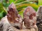 Natural Red Hematoid Quartz Crystals x 12 From Karoi, Zimbabwe - Toprock Gemstones and Minerals 