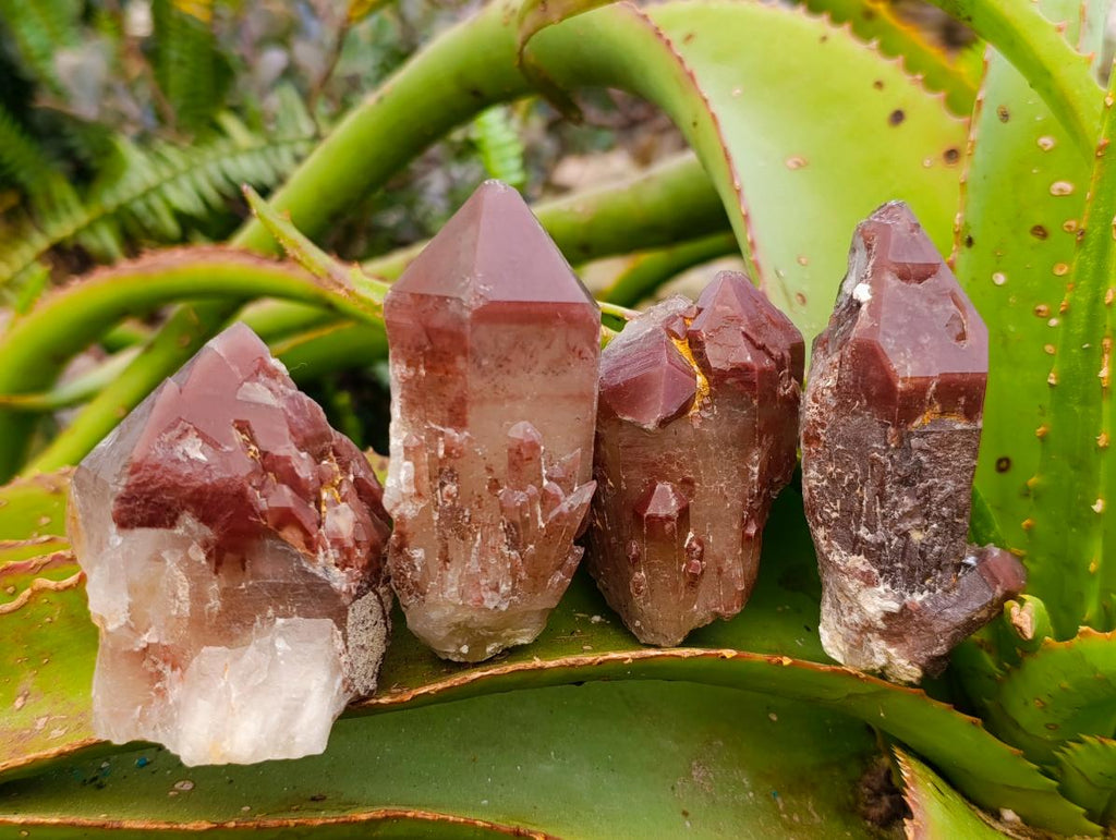 Natural Red Hematoid Quartz Crystals x 12 From Karoi, Zimbabwe - Toprock Gemstones and Minerals 
