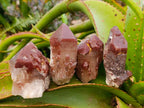 Natural Red Hematoid Quartz Crystals x 12 From Karoi, Zimbabwe - Toprock Gemstones and Minerals 