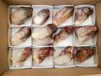 Natural Red Hematoid Quartz Crystals x 12 From Karoi, Zimbabwe - Toprock Gemstones and Minerals 
