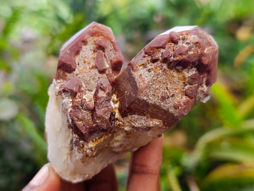 Natural Red Hematoid Quartz Crystals x 12 From Karoi, Zimbabwe - Toprock Gemstones and Minerals 