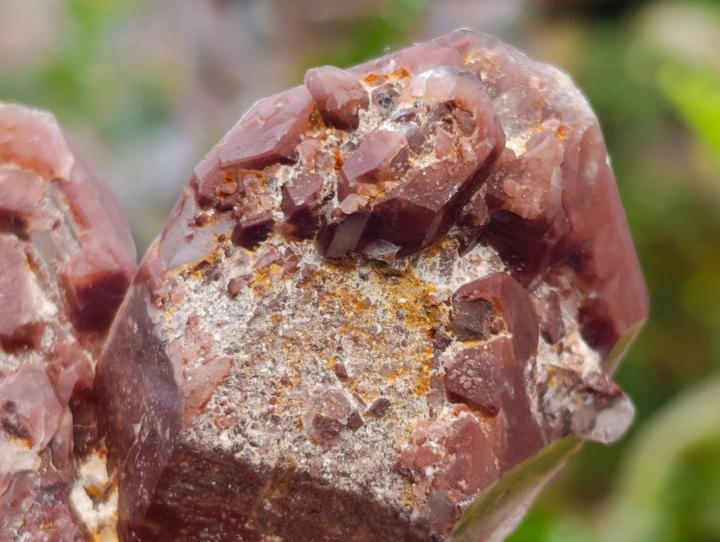 Natural Red Hematoid Quartz Crystals x 12 From Karoi, Zimbabwe - Toprock Gemstones and Minerals 