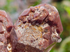 Natural Red Hematoid Quartz Crystals x 12 From Karoi, Zimbabwe - Toprock Gemstones and Minerals 