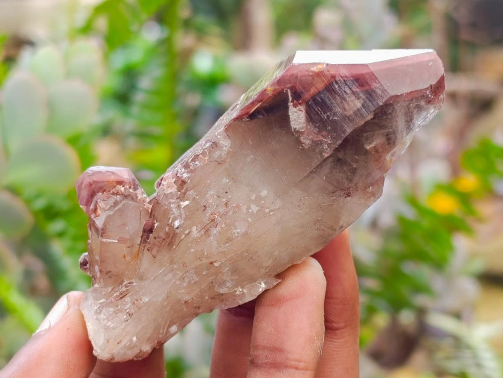 Natural Red Hematoid Quartz Crystals x 12 From Karoi, Zimbabwe - Toprock Gemstones and Minerals 