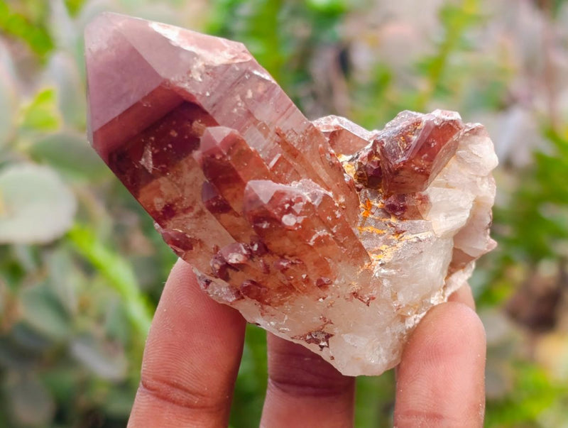 Natural Red Hematoid Quartz Crystals x 12 From Karoi, Zimbabwe - Toprock Gemstones and Minerals 