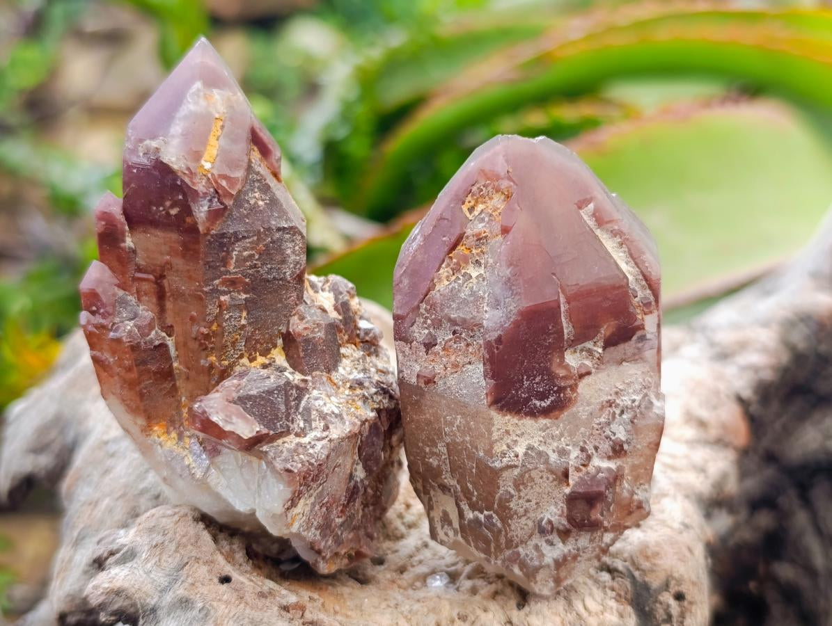Natural Red Hematoid Quartz Crystals x 12 From Karoi, Zimbabwe - Toprock Gemstones and Minerals 