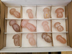 Polished Gemmy Rose Quartz Mushrooms x 12 From Madagascar - Toprock Gemstones and Minerals 