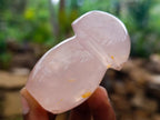 Polished Gemmy Rose Quartz Mushrooms x 12 From Madagascar - Toprock Gemstones and Minerals 