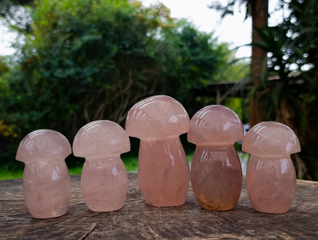 Polished Gemmy Rose Quartz Mushrooms x 12 From Madagascar - Toprock Gemstones and Minerals 