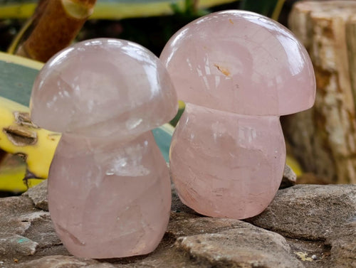 Polished Gemmy Rose Quartz Mushrooms x 12 From Madagascar - Toprock Gemstones and Minerals 