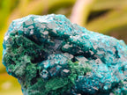 Natural Dioptase on Dolomite Specimens x 6 From Likasi, Congo - Toprock Gemstones and Minerals 