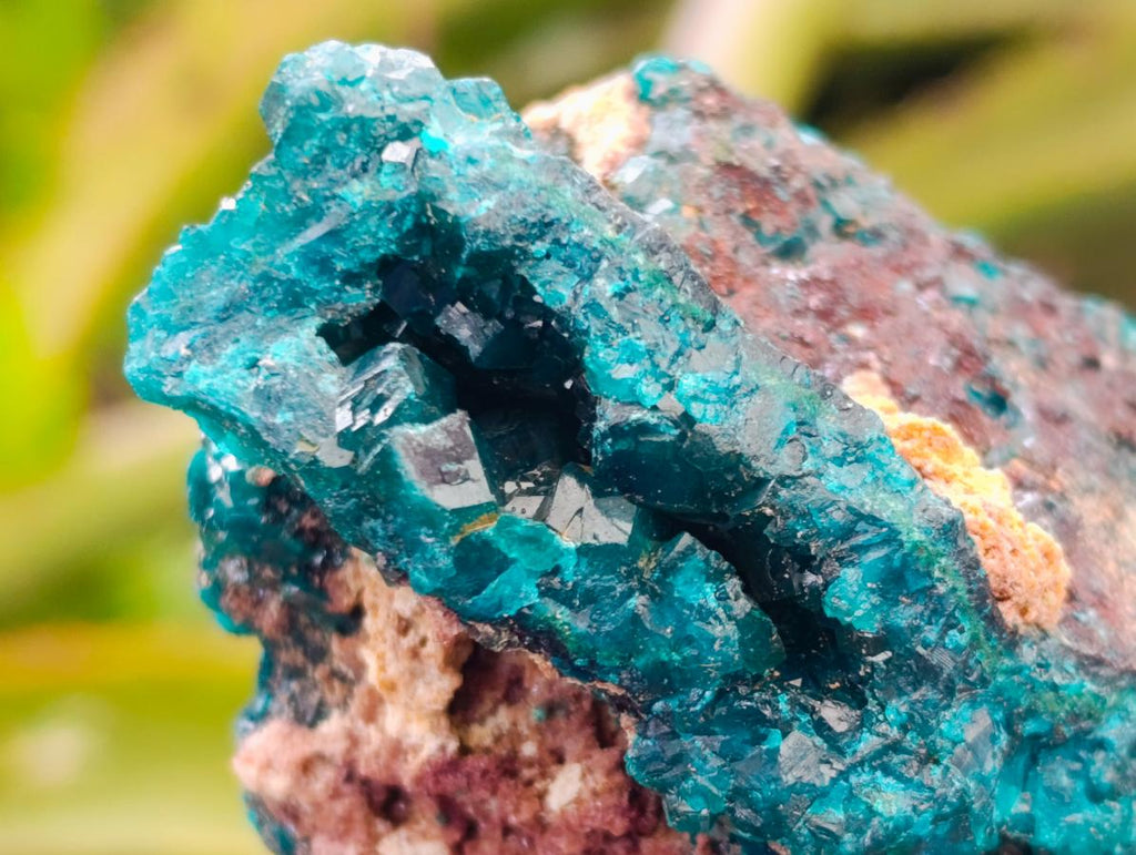 Natural Dioptase on Dolomite Specimens x 6 From Likasi, Congo - Toprock Gemstones and Minerals 