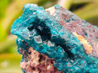 Natural Dioptase on Dolomite Specimens x 6 From Likasi, Congo - Toprock Gemstones and Minerals 