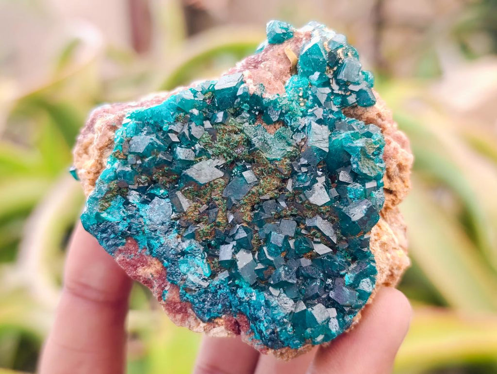 Natural Dioptase on Dolomite Specimens x 6 From Likasi, Congo - Toprock Gemstones and Minerals 