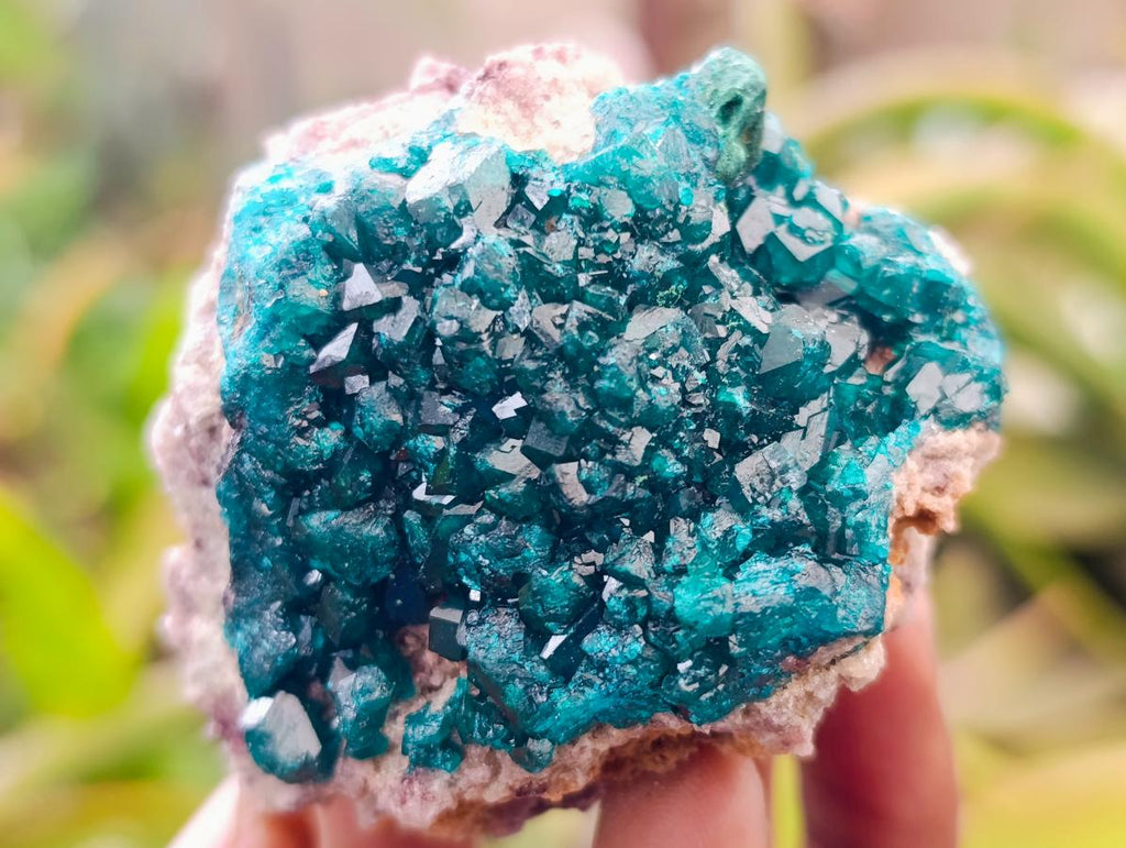 Natural Dioptase on Dolomite Specimens x 6 From Likasi, Congo - Toprock Gemstones and Minerals 