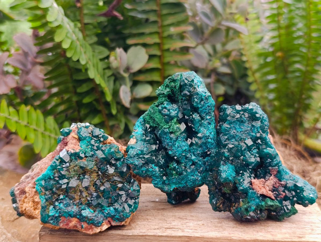 Natural Dioptase on Dolomite Specimens x 6 From Likasi, Congo - Toprock Gemstones and Minerals 