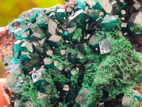 Natural Dioptase on Dolomite Specimens x 6 From Likasi, Congo - Toprock Gemstones and Minerals 