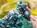 Natural Dioptase on Dolomite Specimens x 6 From Likasi, Congo - Toprock Gemstones and Minerals 
