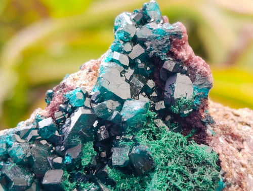 Natural Dioptase on Dolomite Specimens x 6 From Likasi, Congo - Toprock Gemstones and Minerals 