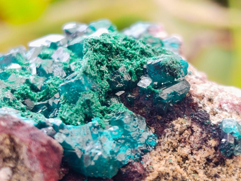 Natural Dioptase on Dolomite Specimens x 6 From Likasi, Congo - Toprock Gemstones and Minerals 