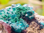 Natural Dioptase on Dolomite Specimens x 6 From Likasi, Congo - Toprock Gemstones and Minerals 