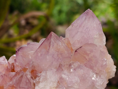 Natural Sunburst Spirit Amethyst Clusters x 2 From Boekenhouthoek, South Africa - Toprock Gemstones and Minerals 