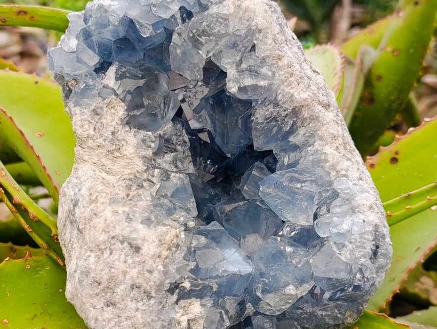 Natural Large Blue Celestite Geode Specimen x 1 From Sakoany, Madagascar - Toprock Gemstones and Minerals 