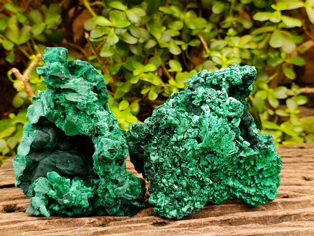 Natural Silky Malachite Specimens x 2 From Kasompe, Congo - Toprock Gemstones and Minerals 