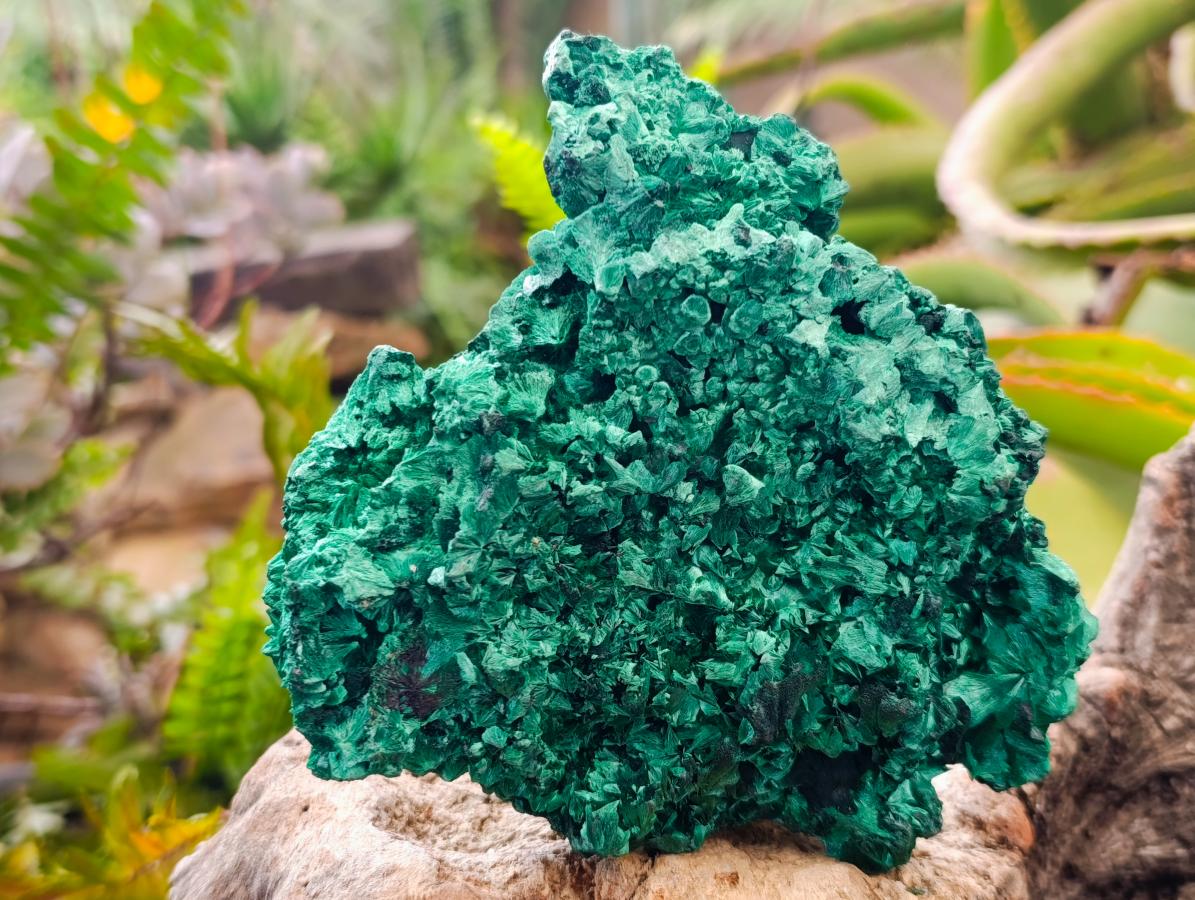Natural Silky Malachite Specimens x 2 From Kasompe, Congo - Toprock Gemstones and Minerals 